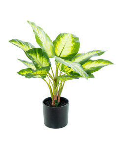 Planta artificial aglaonema...