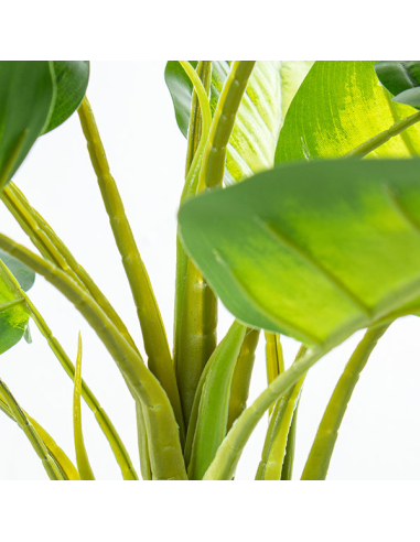 Planta artificial aglaonema 50cm con...