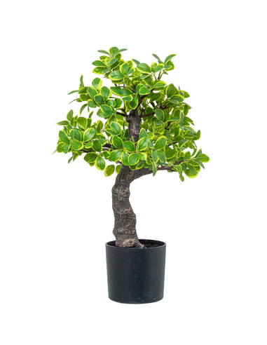 Planta artificial euonymus 45cm