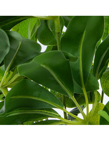 Planta artificial schefflera 155cm Planta artificial schefflera 155cm