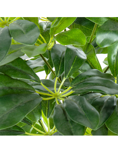 Planta artificial schefflera 155cm Planta artificial schefflera 155cm