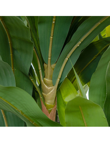 Planta artificial dracaena 160cm