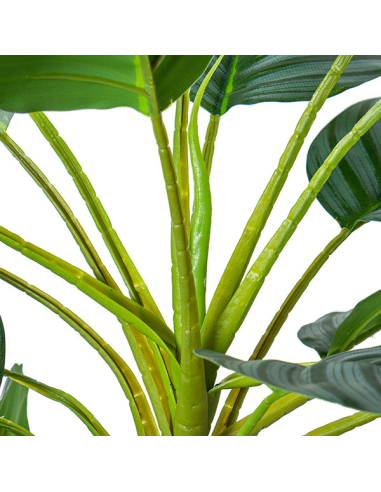 Planta artificial calathea 90cm con 3...