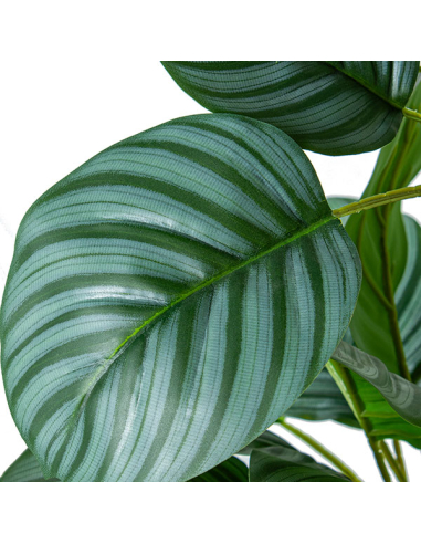 Planta artificial calathea 90cm con 3...