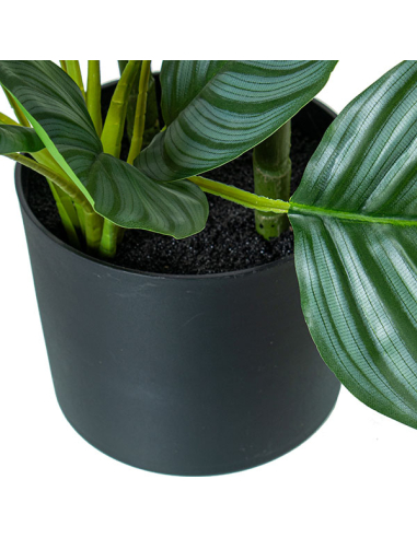 Planta artificial calathea 90cm con 3...