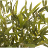 Planta artificial bambú | Kasas Decoración