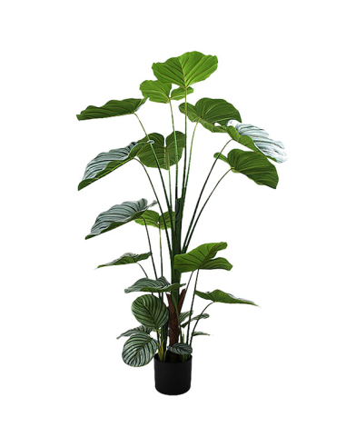 Planta artificial calathea 150cm con...