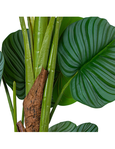 Planta artificial calathea 150cm con...