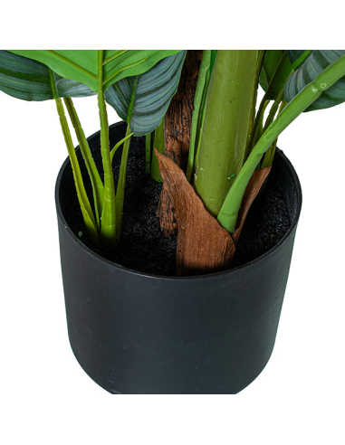 Planta artificial calathea 150cm con...