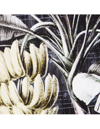 Set 2 cuadros lienzo bananero 39x39 cm