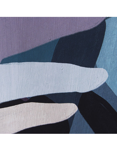 Cuadro lienzo 80x120cm rostro