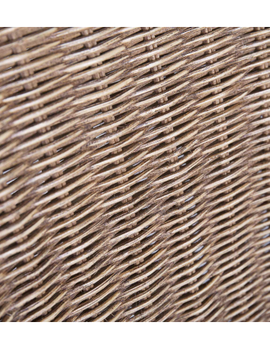 Sillón Ratán Nex Cobra