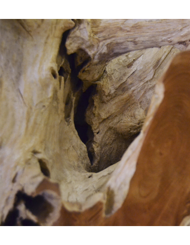 Mesa centro raíz teka blanqueada