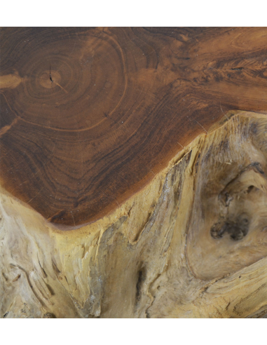 Mesa centro raíz teka blanqueada cristal