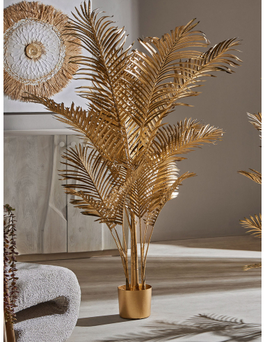 Planta Kentia oro 160 cm