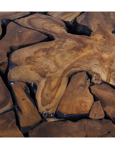 Mesa de centro teka raíz