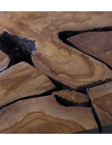 Mesa de centro teka raíz