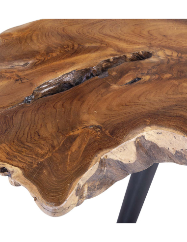 Mesa de centro tronco árbol