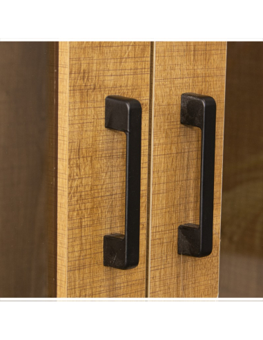 Armario vitrina dos puertas y dos...