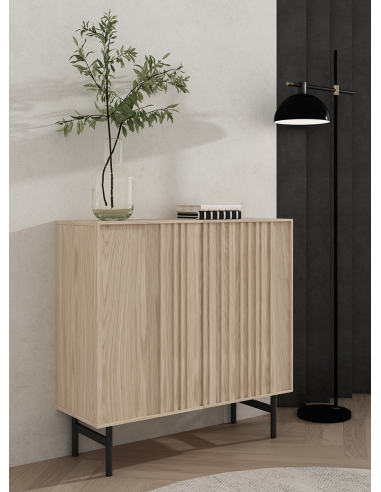 Zapatero Oaku 2 puertas