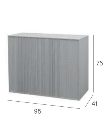 Zapatero Oaku 2 puertas