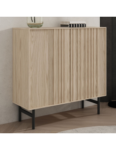 Zapatero Oaku 2 puertas