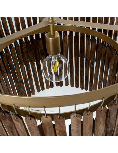 Lámpara de techo Catalina colgante