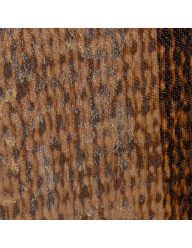 Cuadro lienzo manchas marrón relieve...