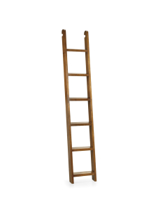Escalera Star combi