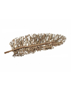 Hoja decorativa 105 cm 2