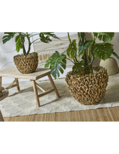 Set 2 maceteros ramas...