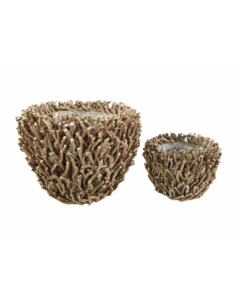 Set 2 maceteros ramas... 2