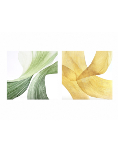 Set 2 oleografías alto brillo...