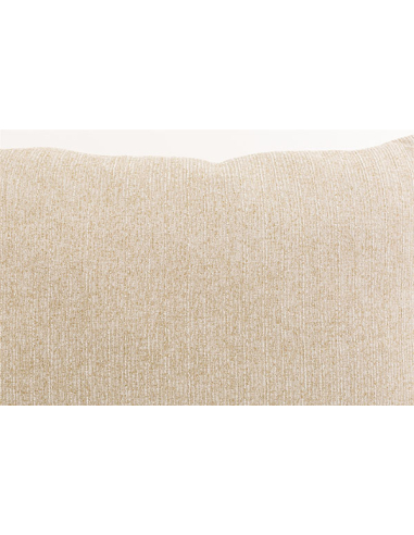 Set 2 cojines abstractos beige