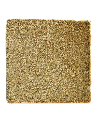 Alfombra Almería 009 Marrón Claro