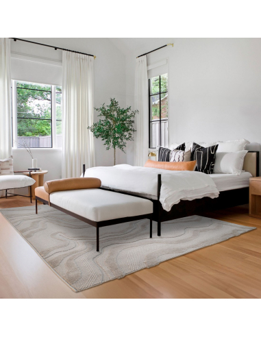 Alfombra Buckley Abstracta Gris...