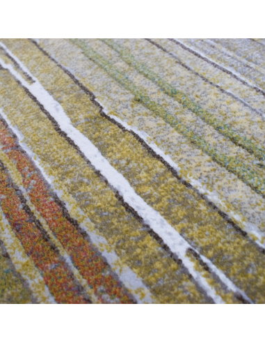 Alfombra Moderna Camille 63892/4240...