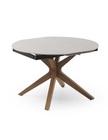 Mesa de comedor Selenita extensible...