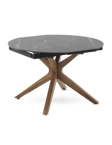 Mesa de comedor Selenita extensible...