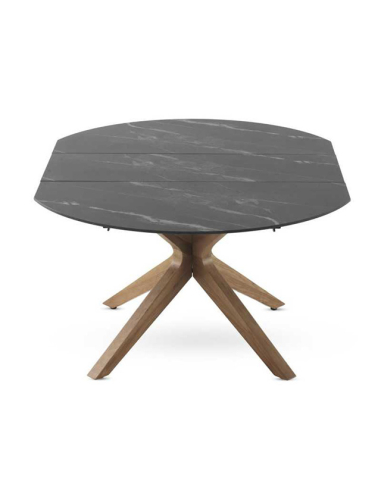 Mesa de comedor Selenita extensible...