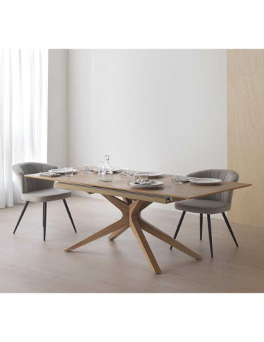 Mesa de comedor Selenita extensible...