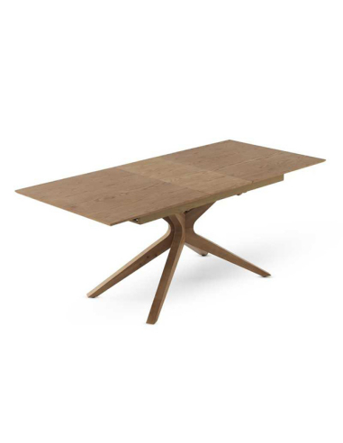 Mesa de comedor Selenita extensible...