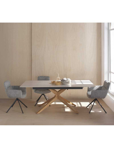 Mesa de comedor Selenita extensible...