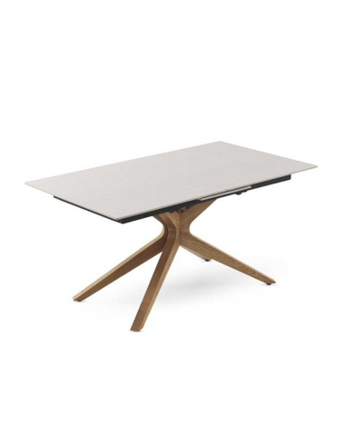 Mesa de comedor Selenita extensible...