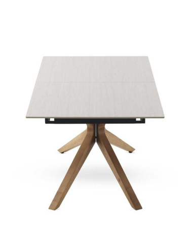 Mesa de comedor Selenita extensible...