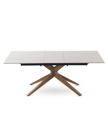 Mesa de comedor Selenita extensible...