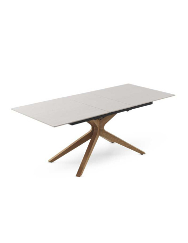 Mesa de comedor Selenita extensible...