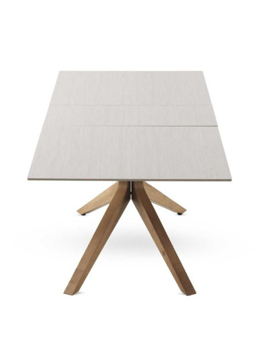 Mesa de comedor Selenita extensible...