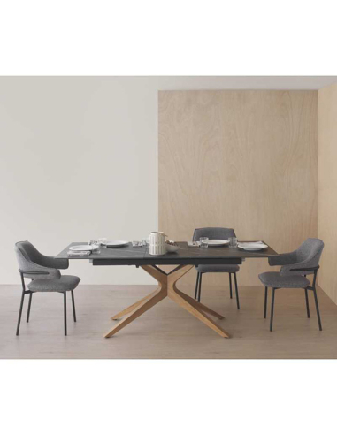 Mesa de comedor Selenita extensible...
