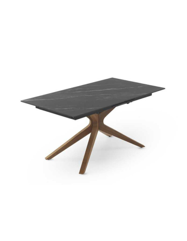 Mesa de comedor Selenita extensible...